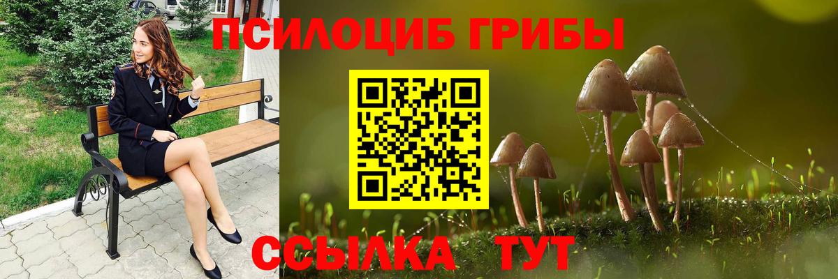 Псилоцибиновые грибы прущие грибы  Вход с VPN  Псилоцибиновые грибы мицелий  Богданович 